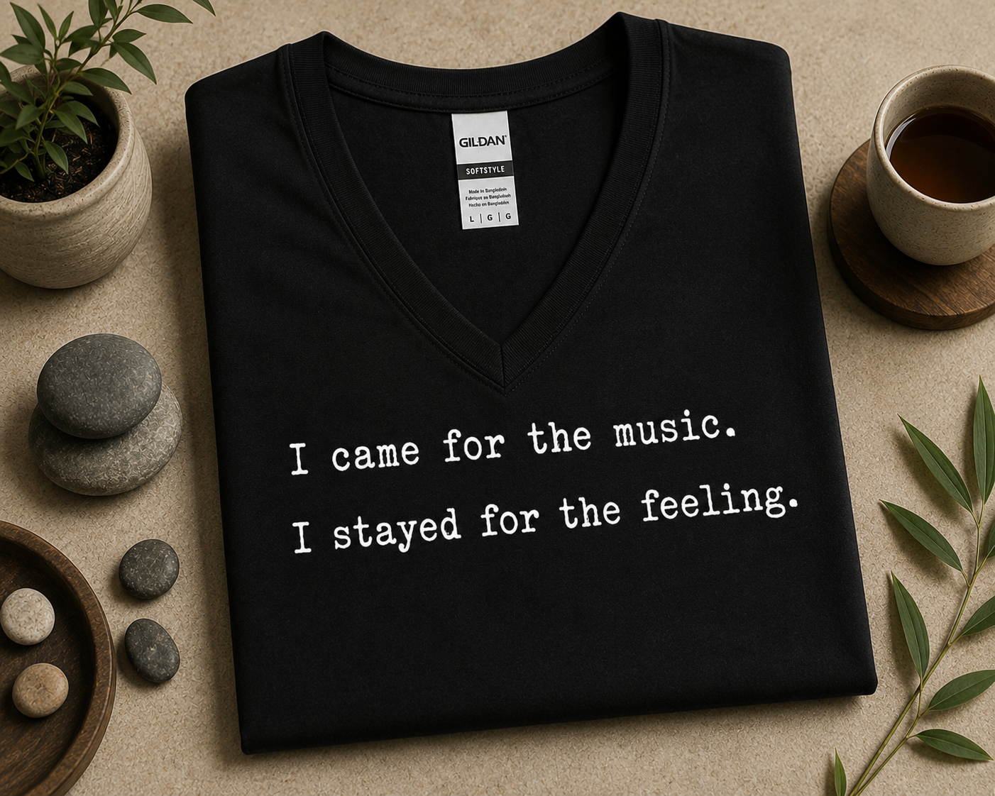 I Came for the Music I Stayed for the Feeling V-Neck Shirt